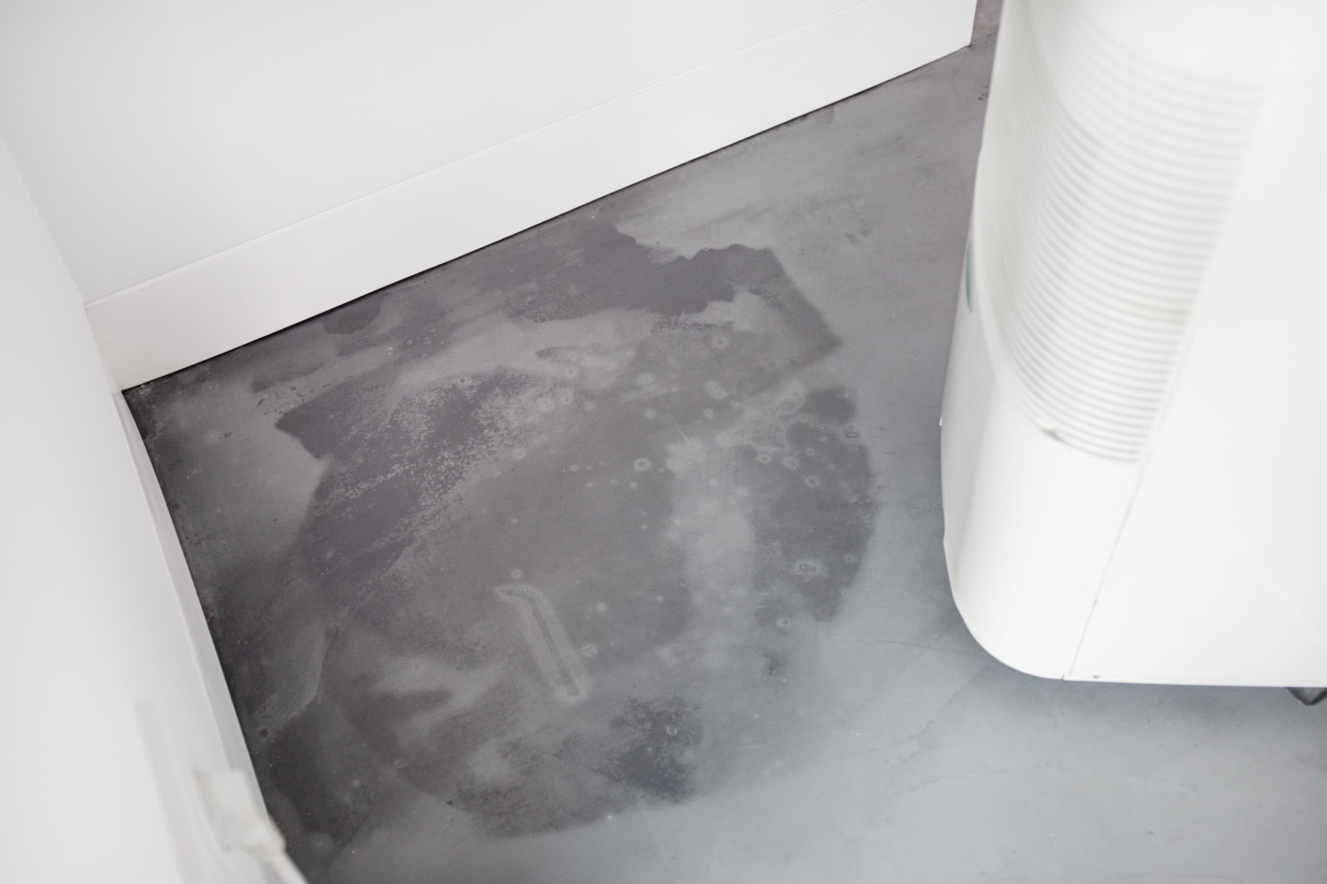 The Best Dehumidifiers for Canadian Homes: Our Top Picks After Comparing Popular Models
