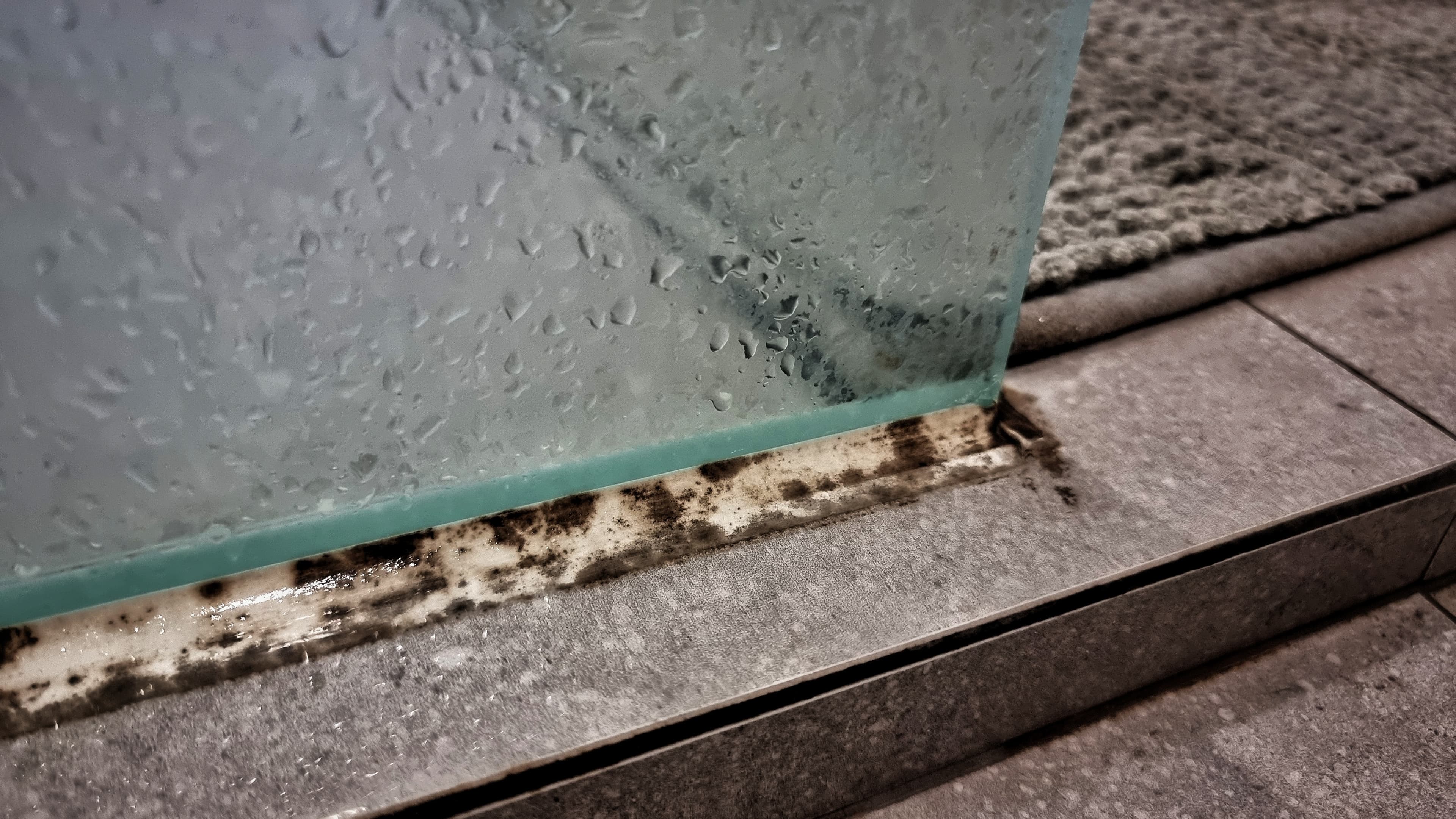 Mold growth on shower base and wet glass panel.